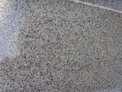 甘肅金山麻石材|優(yōu)質(zhì)的金山麻石材公