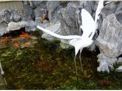 溧陽市庭院魚池水凈化系統   135152