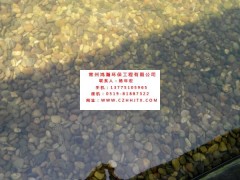 無錫市小區景觀河水凈化過濾循環增
