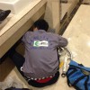 如何去廁所除臭采購-北京下水道除臭質量保證