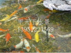無錫市錦鯉魚池過濾公司！鴻瀚環保1