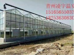 專(zhuān)業(yè)的溫室制造專(zhuān)家-智能溫室制造專(zhuān)