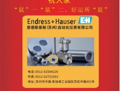 恩德斯豪斯自動化儀表（E+H）李建2020新春寄語 一百零八星報喜之地飛星