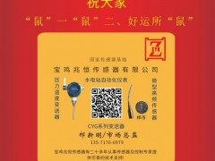 寶雞兆恒傳感器總經理：祁新明2020新春寄語 一百零八星報喜之天捷星