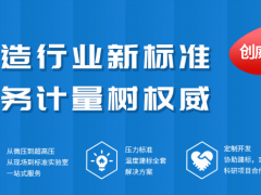中小型數(shù)字壓力表企業(yè)如何正確開設(shè)電子商務(wù)運營
