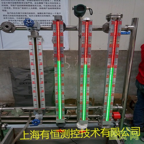 上海有恒測(cè)控技術(shù)有限公司出品液位計(jì)_副本
