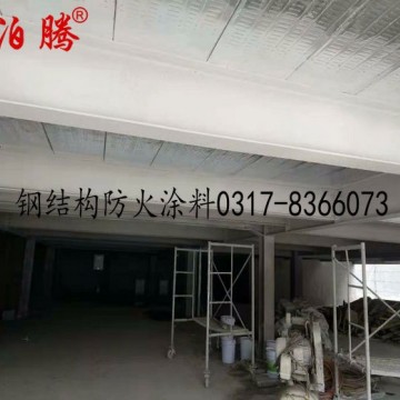 鋼結(jié)構(gòu)防火涂料專業(yè)廠家,鋼結(jié)構(gòu)防火