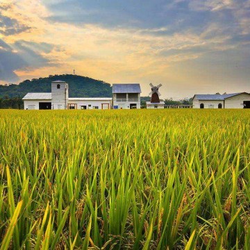 2023中國鄭州國際有機食品產業展覽